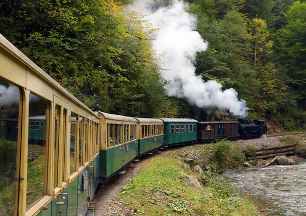 Historischer Dampfzug mit grün-beigen Waggons fährt durch einen Wald entlang eines Flusses, weisse Dampfwolke über der Lok