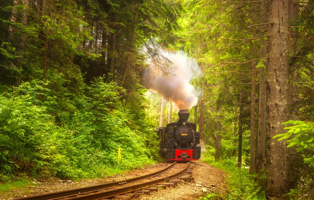 Kleine Dampflok fährt auf schmalen Gleisen durch dichten Wald, Rauch und Dampf steigen über den Bäumen auf