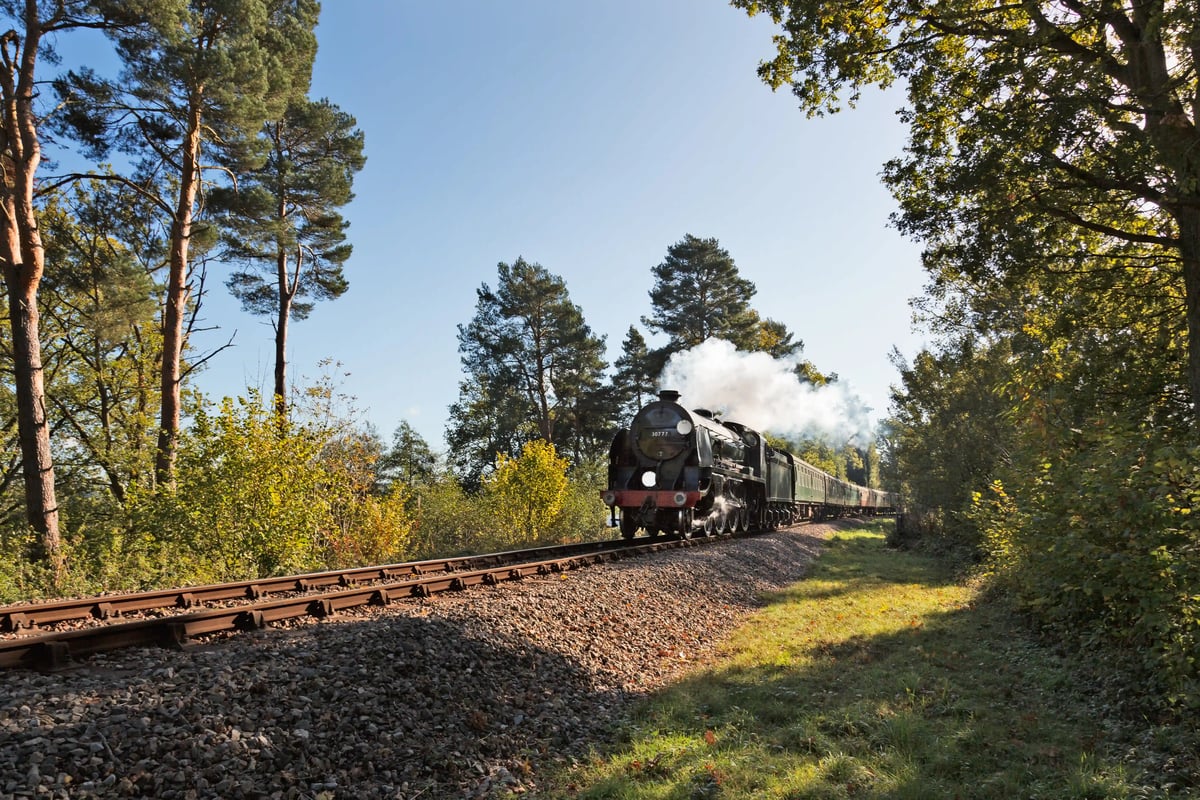 Historische Dampflok fährt durch eine waldreiche Landschaft, Rauch steigt aus dem Schornstein bei sonnigem Herbstwetter