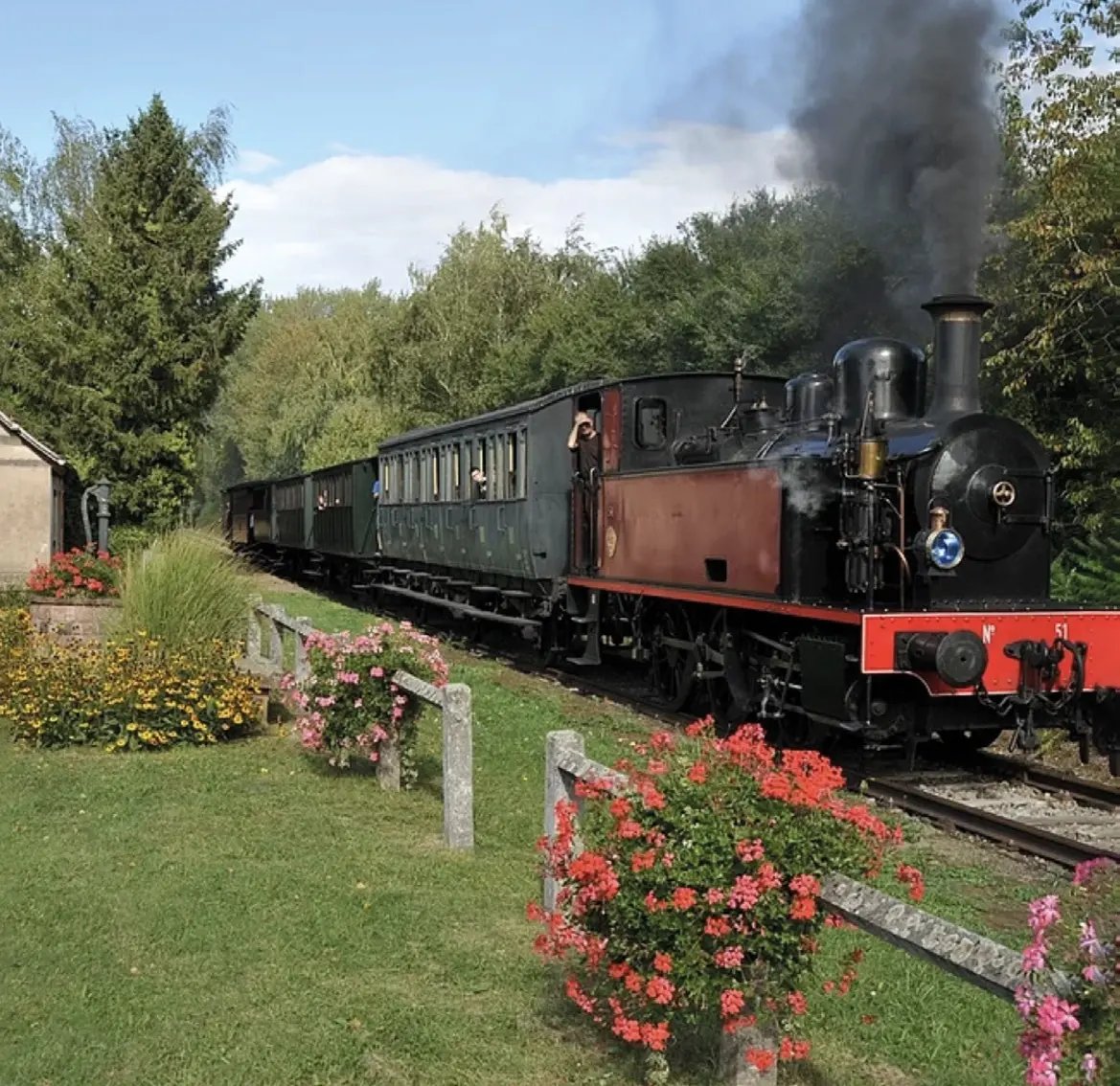 Schwarze Dampflokomotive mit historischen Waggons fährt durch eine grüne Landschaft mit Blumen am Bahndamm