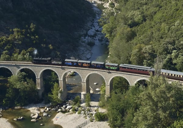 Historischer Dampfzug fährt über ein Steinviadukt durch bewaldetes Tal der Cevennen