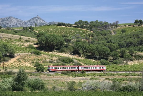 Roter Regionalzug Train Rouge fährt durch hügelige Landschaft mit Weinbergen im Katharerland