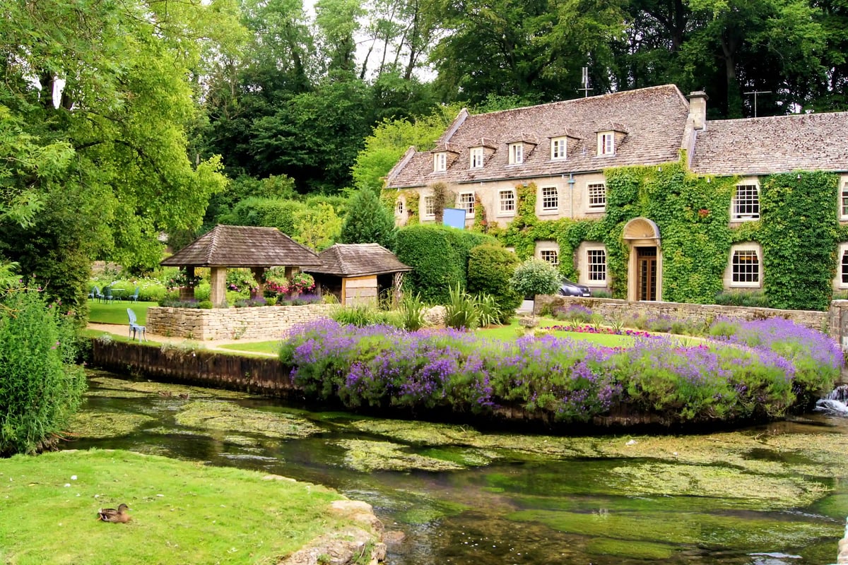 Demeure ancienne couverte de lierre, jardin soigné au bord d'un ruisseau, massifs de fleurs violettes au premier plan