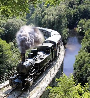 Historische Dampflok mit schwarzen Waggons fährt auf einer Brücke durch ein grünes Tal mit Fluss und dichter Vegetation