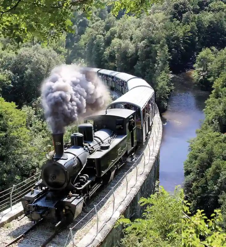 Historische Dampflok mit schwarzen Waggons fährt auf einer Brücke durch ein grünes Tal mit Fluss und dichter Vegetation