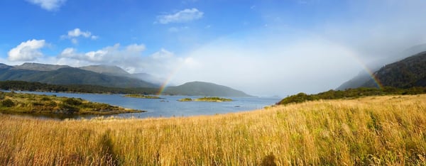 Küste am Beagle Kanal mit ruhigem Wasser und trockener Vegetation unter blauem Himmel