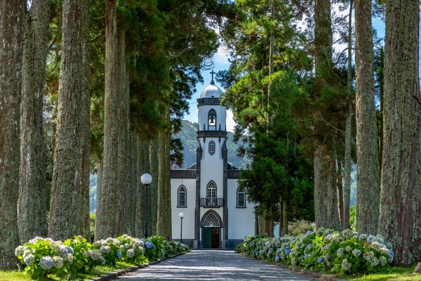 Kirche am Ende einer geraden Allee mit hohen Bäumen und Blumenbeeten