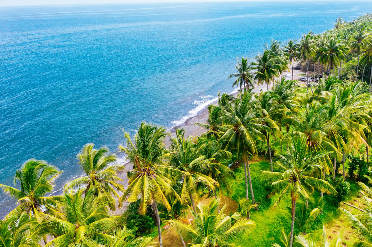 Luftaufnahme einer tropischen Küste mit Palmen, grünem Uferstreifen und blauem Meer