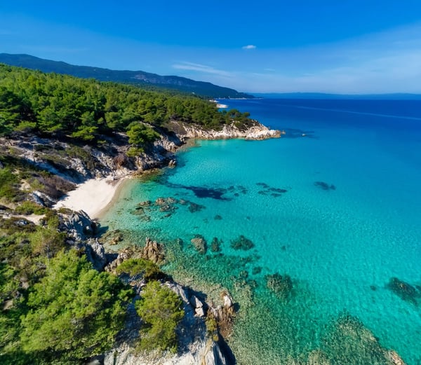 Felsige Küste mit Pinienwald und leuchtend blauer Badebucht