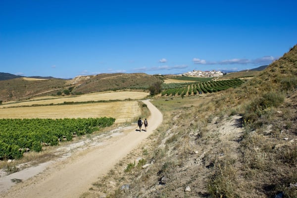 Zwei Pilger wandern auf dem Jakobsweg durch weite Landschaft mit Feldern, Weinbergen und sanften Hügeln