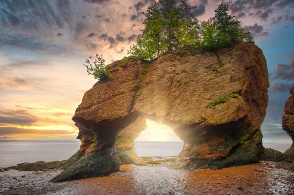 Natürliche Felsbögen der Hopewell Rocks bei Ebbe mit freiliegendem Meeresboden und Sonnenlicht im Hintergrund