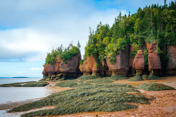 Rote Sandsteinfelsen an der Küste von Prince Edward Island mit Bewuchs, Wasser und Himmel im Hintergrund