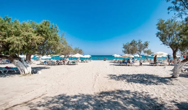 Sandstrand von Tigaki mit Sonnenschirmen, Liegen und flachem türkisfarbenem Meer auf Kos