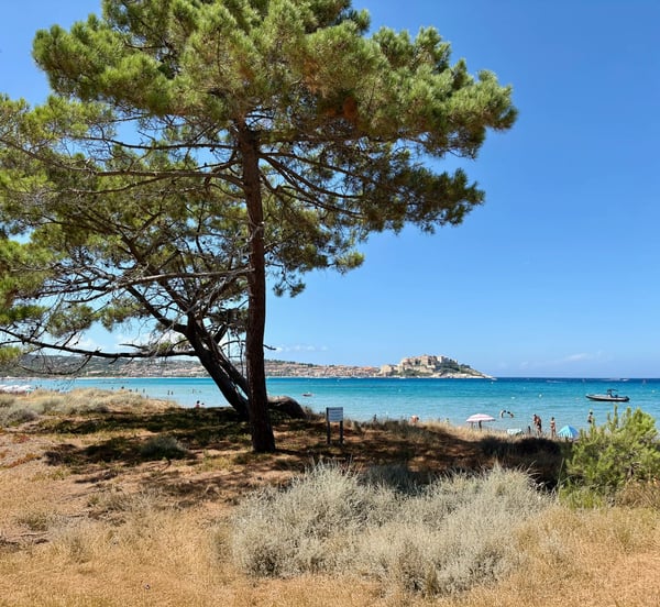Ferienanlage bei Calvi mit flachen Gebäuden, grüner Wiese, Bäumen und einem Fussweg