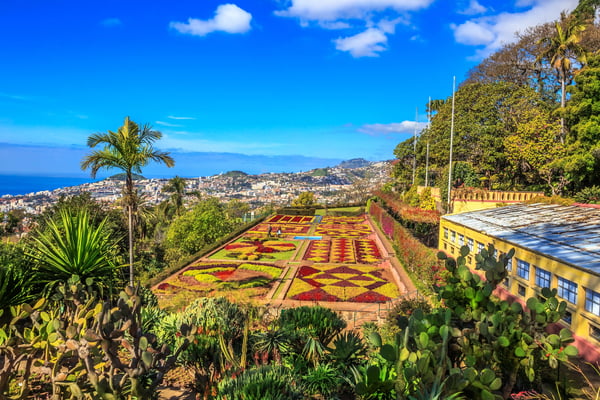 Jardin botanique en terrasses avec motifs floraux colorés, palmiers et vue sur Funchal, la mer et l’océan Atlantique sous un ciel bleu