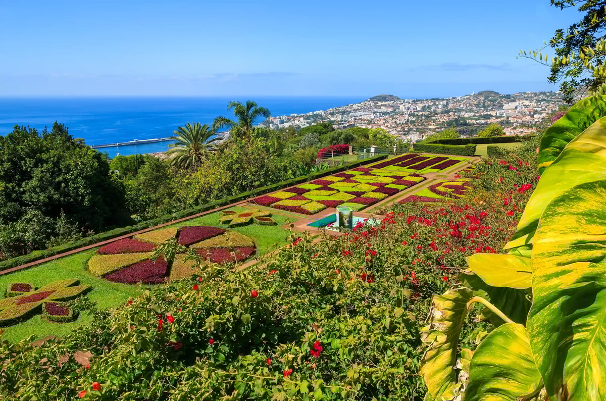 Terrassenförmiger botanischer Garten mit farbigen Blumenmustern, Palmen und Blick auf Funchal, das Meer und den Atlantik unter blauem Himmel