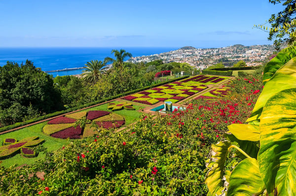 Jardin botanique en terrasses avec motifs floraux colorés, palmiers et vue sur Funchal, la mer et l’océan Atlantique sous un ciel bleu