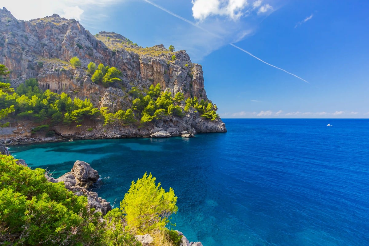 Steile Felsklippen mit grünen Pinien über einer tiefblauen Meeresbucht an der Küste von Sa Calobra auf Mallorca