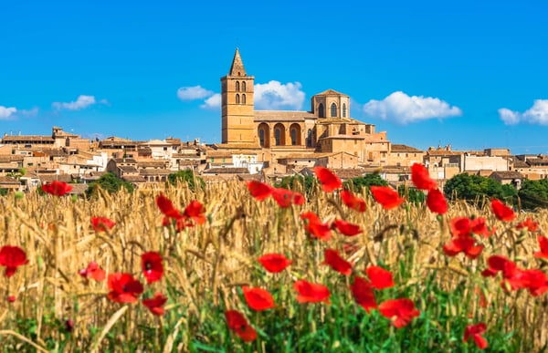 Mallorquinisches Dorf mit Kirche im Hintergrund und rotem Mohnfeld im Vordergrund unter blauem Himmel