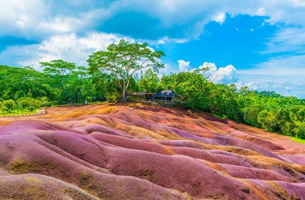 Hügel mit unterschiedlich gefärbter Erde in Rot-, Braun- und Violetttönen bei Chamarel, mit Bäumen im Hintergrund