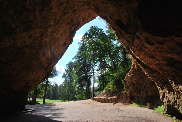 Blick aus einer grossen Felsenhöhle auf einen Waldweg und grüne Bäume bei Tageslicht