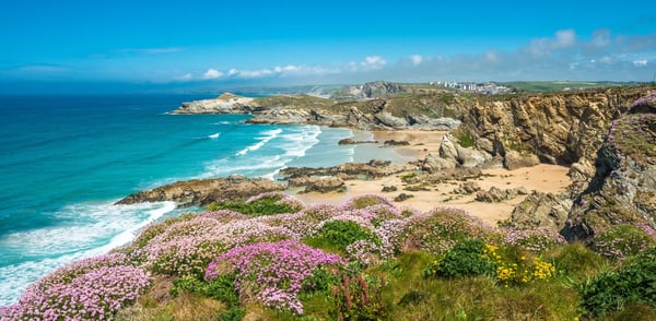 Küstenlandschaft mit Felsen, Sandstrand, türkisfarbenem Meer und blühender Vegetation