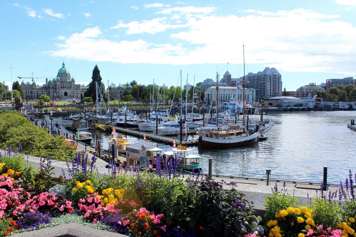 Victoria Harbor mit Booten, Blumenbeeten und Parlamentsgebäude im Hintergrund