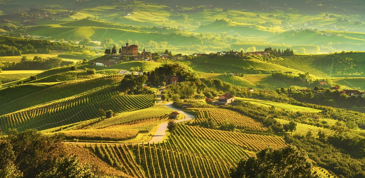 Château perché dans le Piémont au coucher du soleil, entouré de vignobles et d’oiseaux en vol