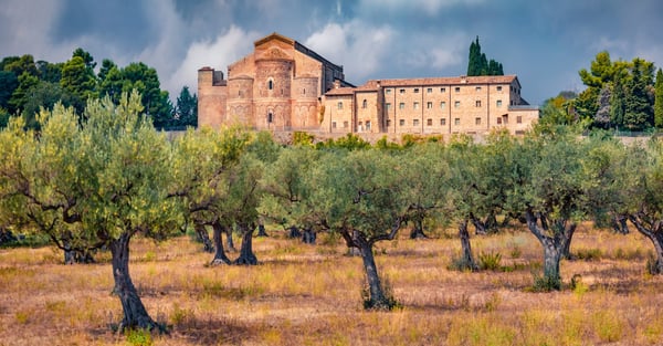 Historische Abtei San Giovanni in Venere mit Olivenbäumen im Vordergrund und Steinmauern unter bewölktem Himmel