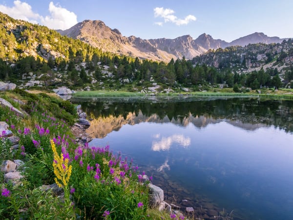 Ruhiger Bergsee in Andorra mit Spiegelung der Berge und blühender Ufervegetation