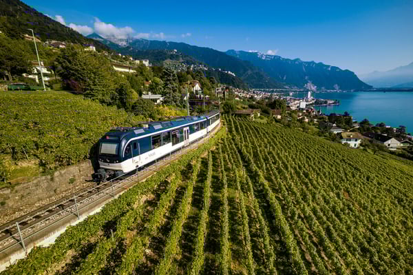 Panoramazug fährt durch grüne Weinberge mit Blick auf den Genfersee und die Alpen