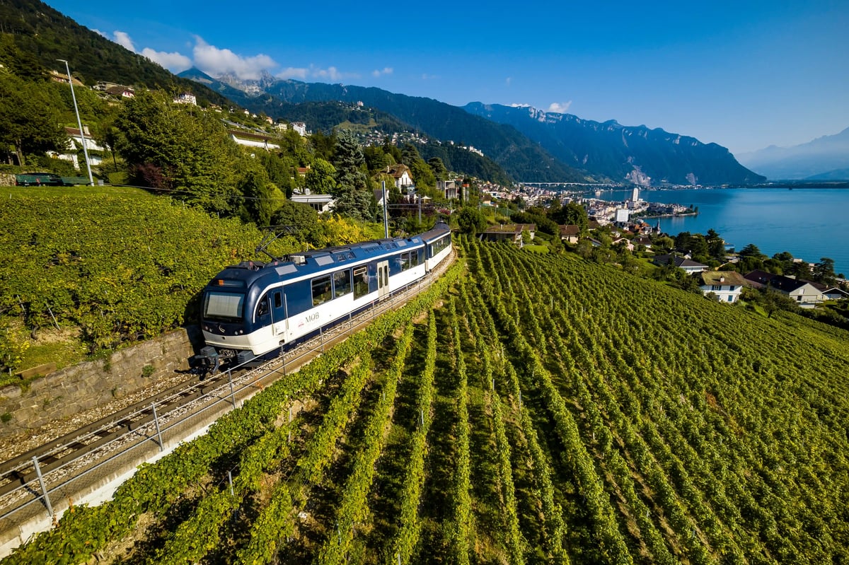 Panoramazug fährt durch grüne Weinberge mit Blick auf den Genfersee und die Alpen