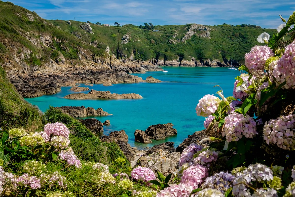 Baie côtière rocheuse avec une mer turquoise, des falaises verdoyantes, quelques bateaux et des hortensias en fleurs au premier plan