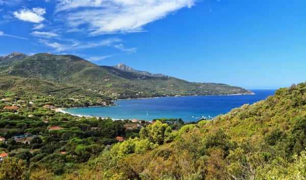 Grüne Hügellandschaft auf der Insel Elba mit Küste, blauem Meer und bewaldeten Bergen unter klarem Himmel