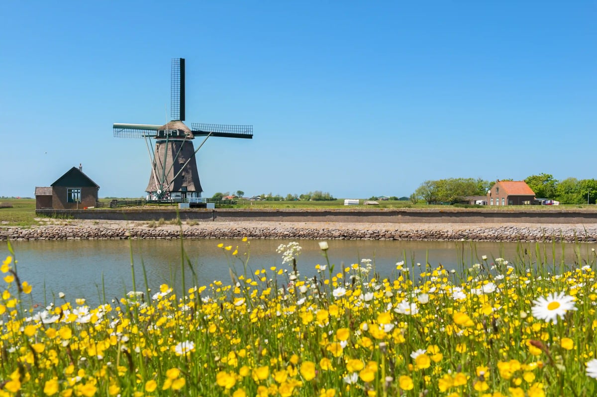 Traditionelle Windmühle steht in einer flachen Landschaft mit Wassergraben und Blumen im Vordergrund