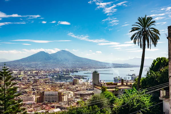 Panorama de Naples avec le port et les quartiers, le Vésuve en arrière-plan sous un ciel bleu, avec un palmier au premier plan.