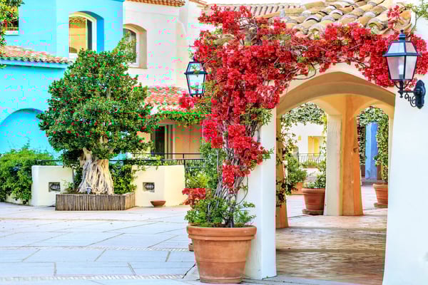 Arkadenhof mit mediterraner Architektur, blühender Bougainvillea und grossen Pflanzkübeln in Porto Cervo