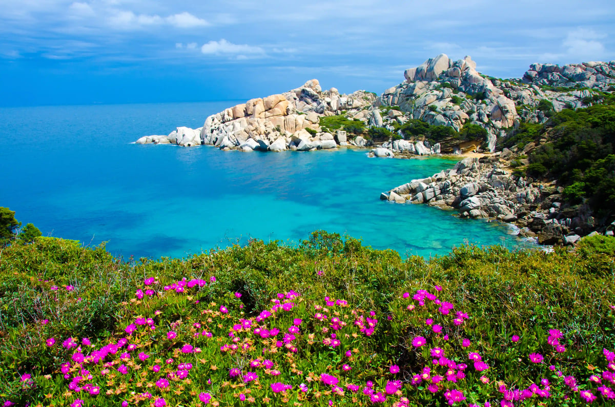 Türkisblaue Bucht mit felsiger Küste und granitfarbenen Felsen, im Vordergrund blühen pinke Blumen auf niedriger Vegetation
