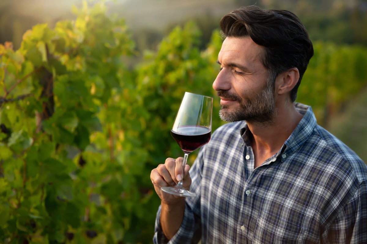 Mann hält ein Glas Rotwein und riecht daran, im Hintergrund grüne Weinreben in einem Weinberg.