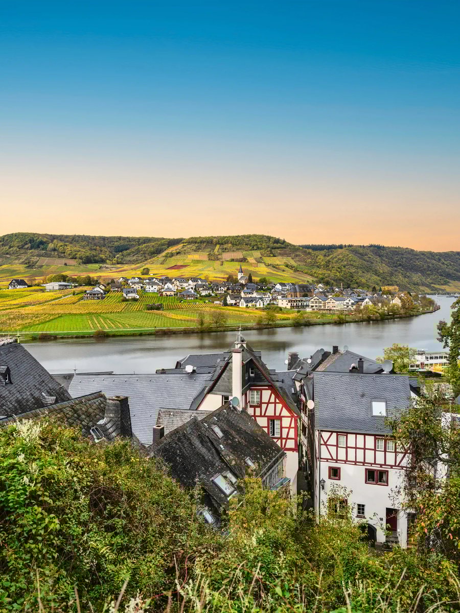 Weitläufige Landschaft an der Mosel mit Weinbergen, Fluss und Ortschaften unter klarem Himmel