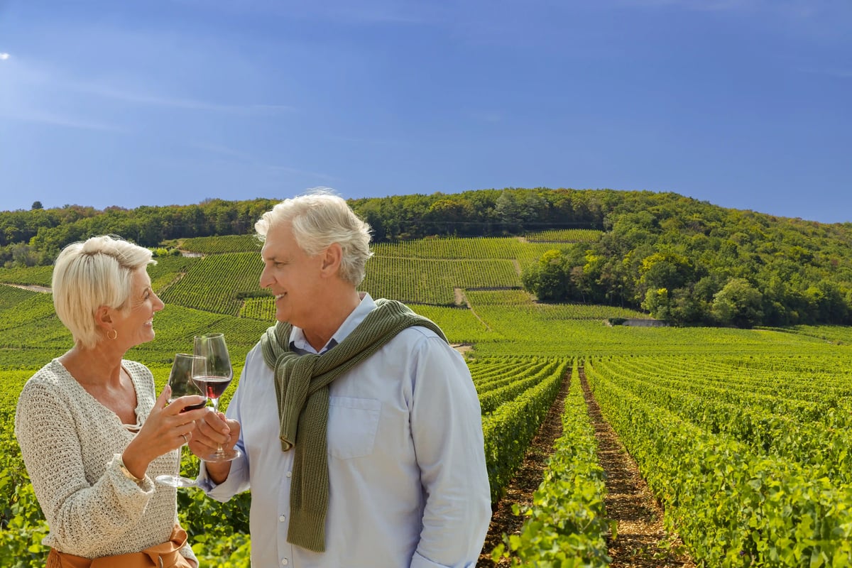 Paar stösst mit Weingläsern in grünen Weinbergen des Burgunds an