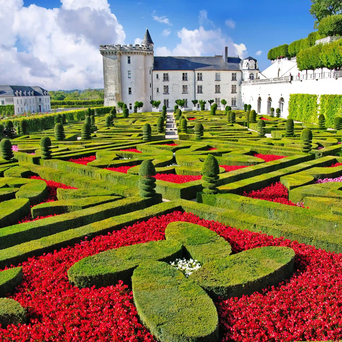 Formale Schlossgärten mit geschnittenen Hecken und roten Blumenbeeten führen auf ein helles Schlossgebäude zu.