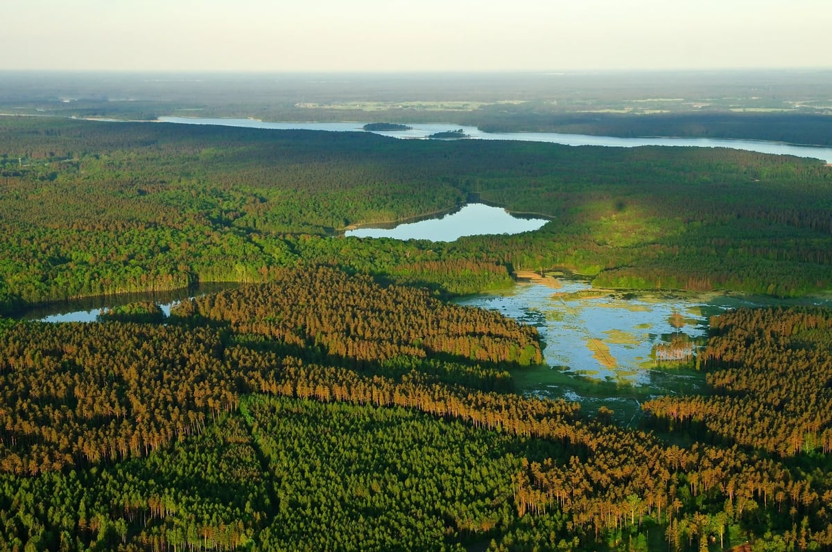 Weite Waldlandschaft der Masuren mit mehreren Seen und Feuchtgebieten aus der Vogelperspektive bei warmem Abendlicht