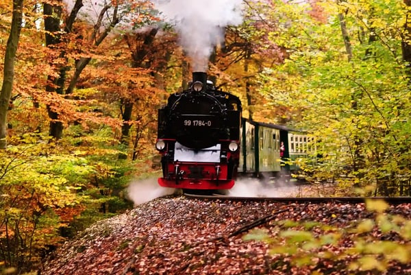 Eine historische Dampflokomotive fährt durch einen herbstlich gefärbten Wald