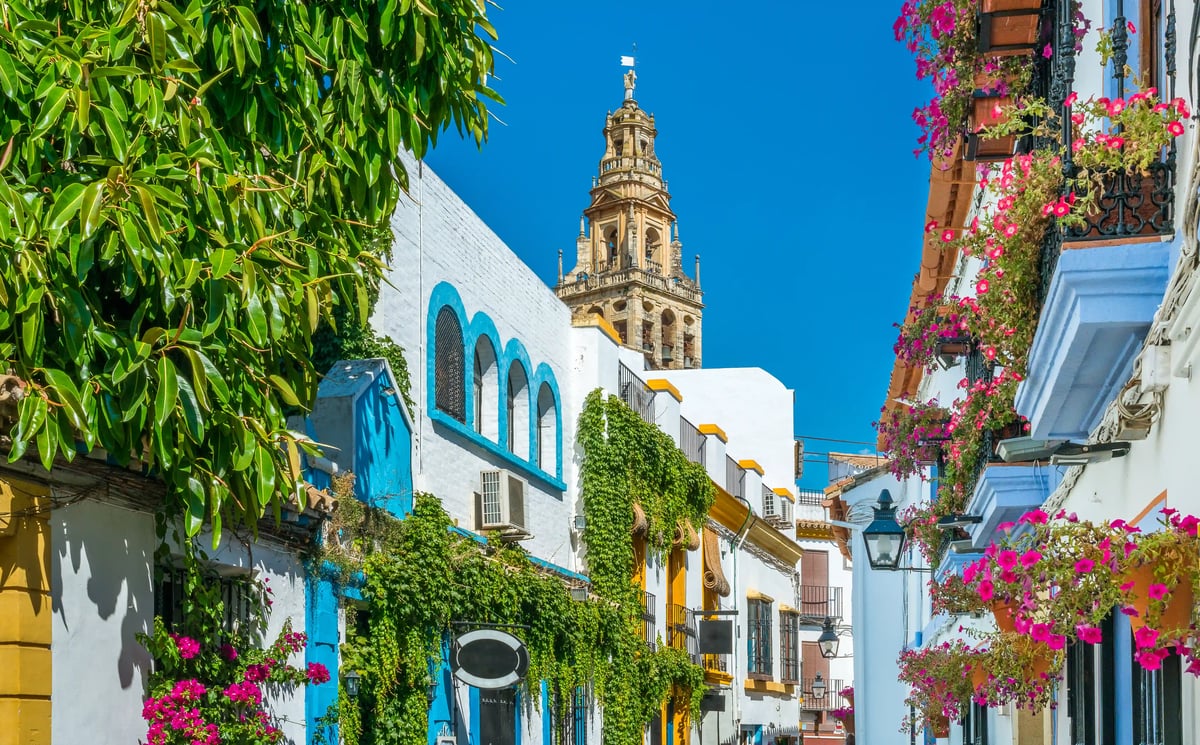 Enge Gasse in Córdoba mit weiss getünchten Häusern, blühenden Balkonen, grünen Pflanzen und historischem Kirchturm vor blauem Himmel