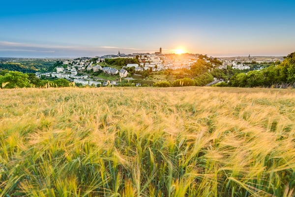 Weizenfeld im Vordergrund, Stadt auf einem Hügel in der Ferne, Sonne am Horizont in warmem Abendlicht