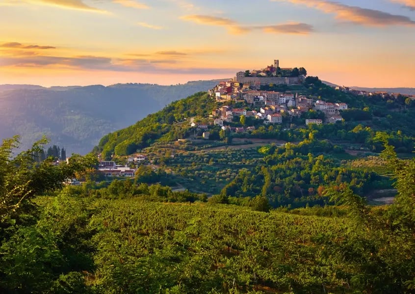 Altstadt von Motovun auf einem bewaldeten Hügel, umgeben von Weinbergen und sanften Hügeln Istriens.
