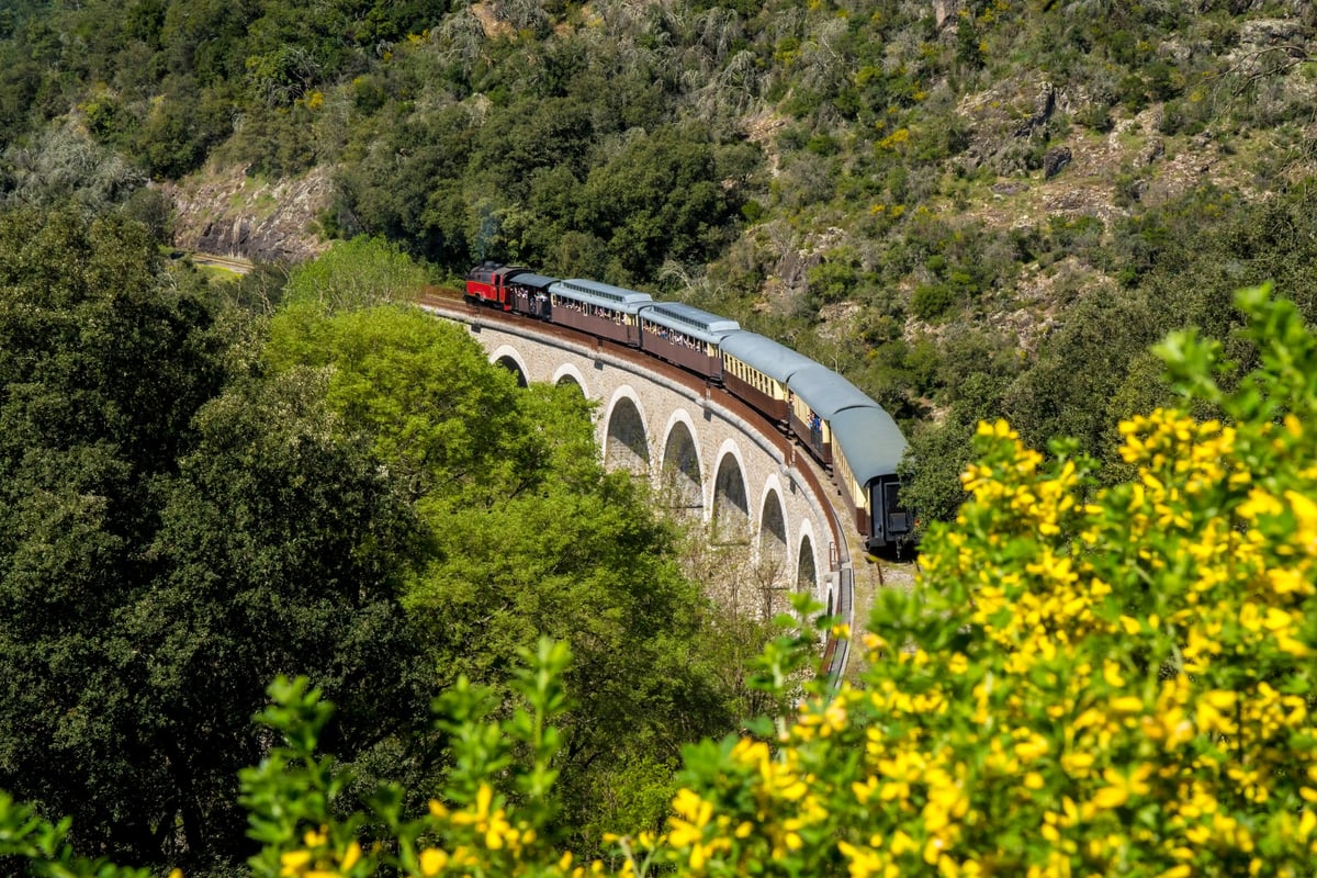 Historischer Dampfzug der Cevennen überquert ein steinernes Viadukt inmitten der grünen Landschaft.