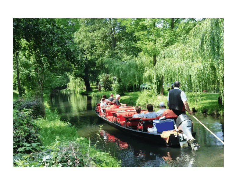 Kahnfahrt durch den Spreewald auf einem schmalen Wasserlauf zwischen üppigem Grün.