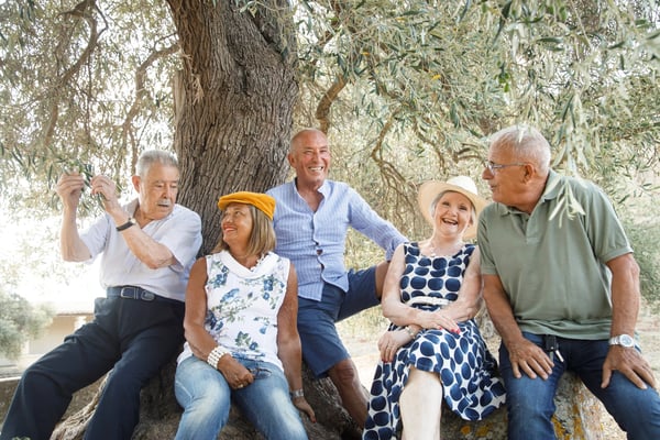 Gruppe älterer Menschen sitzt lachend unter einem Olivenbaum und unterhält sich im Schatten